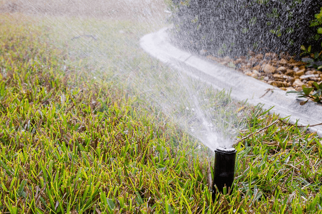 14d132c8cc0f0d1c37fc14e8fffa1f75-large