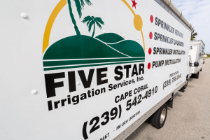 16a50bb4880eec35a1e0a663fc348c05-large