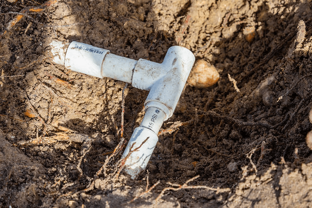 2abcecc69326d0b259b8655ddae0e98c-large