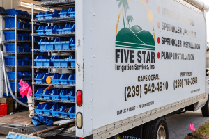 411e308d7d904719a78f3fd756be9c50-large