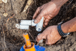 474ef945542f7bc44a1614a416ee9bdc-large