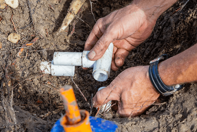 474ef945542f7bc44a1614a416ee9bdc-large