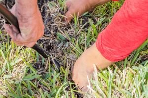 57d5b076b3cf09a4bae1e7278ec0da62-large