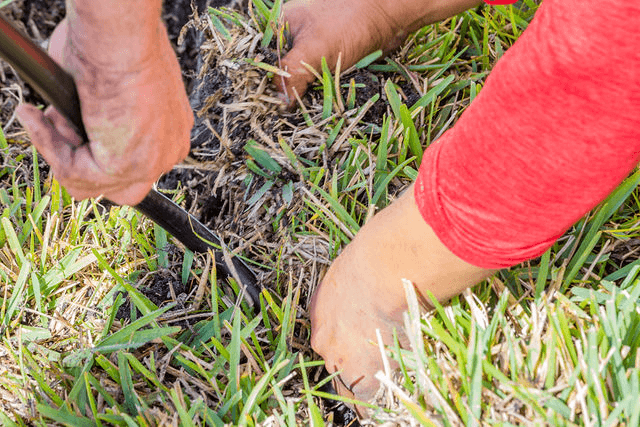 57d5b076b3cf09a4bae1e7278ec0da62-large