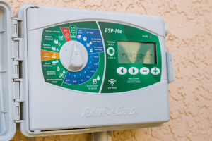 84359d32bf84cd45343bd1bf22ba9436-large