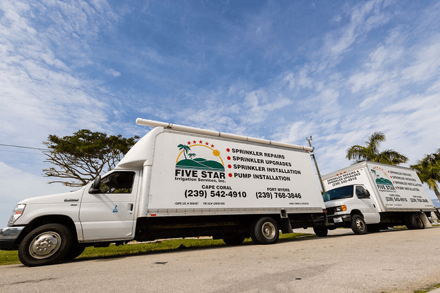 8569d99ca4bb90703d1418fef5c3eb6e-large