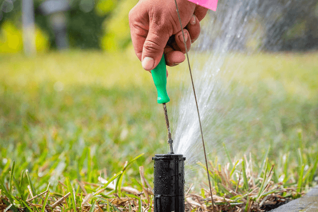 8853749e0eb1b6611b49f664e1250779-large