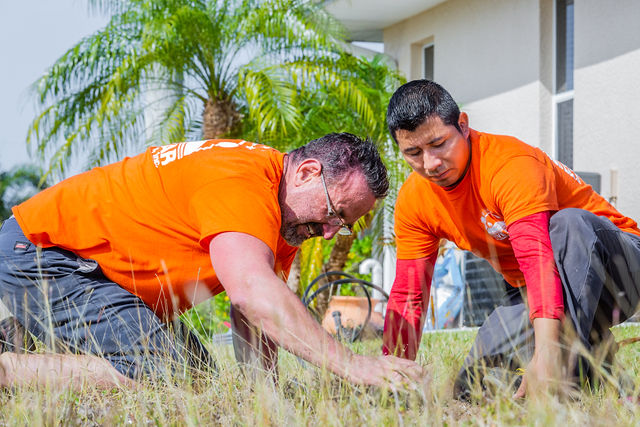 973282a7b17a2433aceaea41e49c4418-large