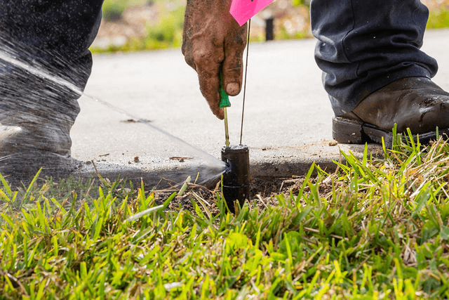 a288f226a8233ff1b49ddd8e6c7483a0-large