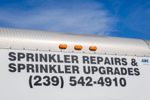 a9fc39e3cba22af893ece00066c1fa07-large