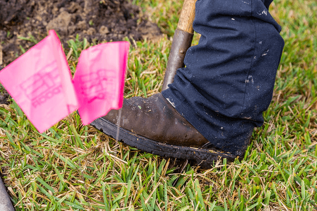 af4d4eddc6592a1b02788ceed4a9f275-large