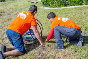 b164816a5b7ca974f871bb6089c5e45b-large