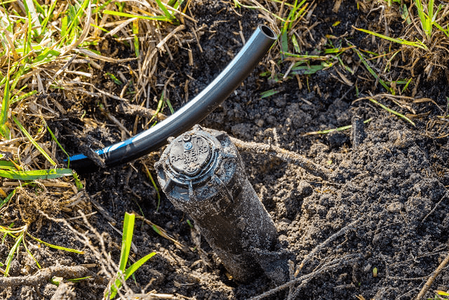 b468d7006f581a63fa05ebe4eba955dc-large