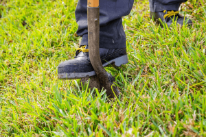 d2b9544dbc0aafdeee4b02a0be6074be-large