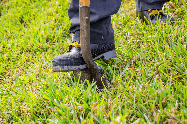 d2b9544dbc0aafdeee4b02a0be6074be-large