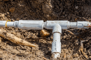 d61a843700e44d3f0f1eff25d124ad0f-large