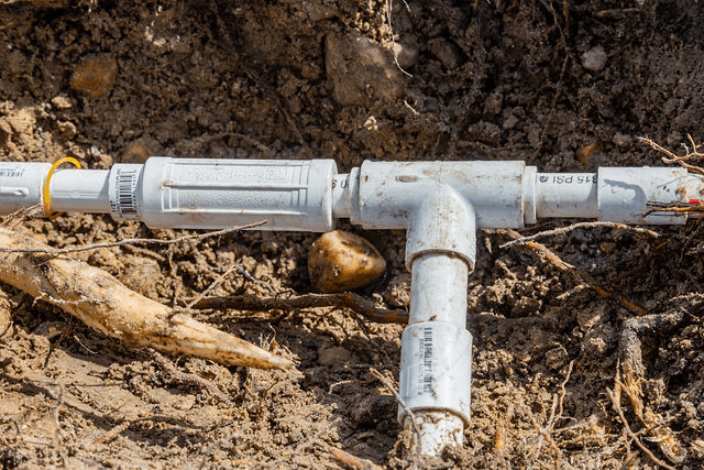 d61a843700e44d3f0f1eff25d124ad0f-large