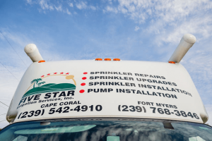 de2c633400a2d6e3704c7a3cfa3cc181-large