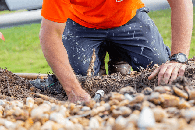 ea4b032335e0120b6dd22080e5db7f3e-large